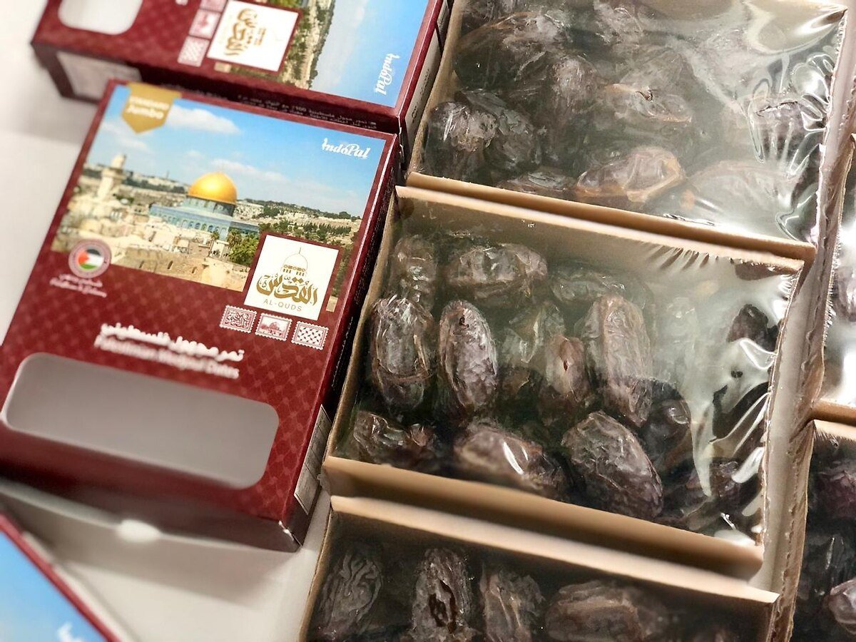 Medjol Palestina Alquds_Standart Jumbo